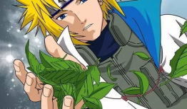 火影忍者动漫全集,忍界传奇，从少年到英雄的成长之旅